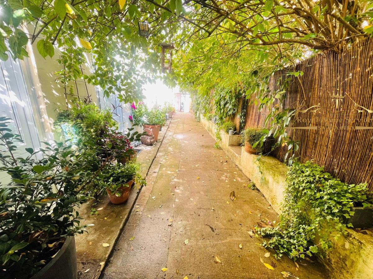 Le Jardin Croix Roussien Apartment Lyon Bagian luar foto